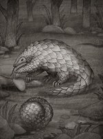 d5f21e40762525-57fcaf510234a