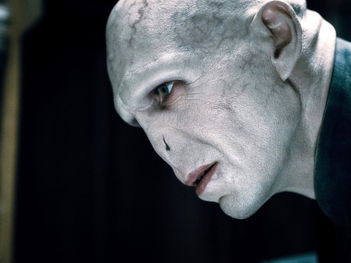 Voldemort-lord-voldemort-19420593-500-375.jpg