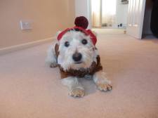 16586471_1623934227678781_1238894170_o