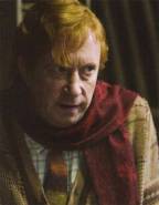 1110229-467px_arthur_weasley_hbp
