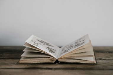 annie-spratt-749650-unsplash