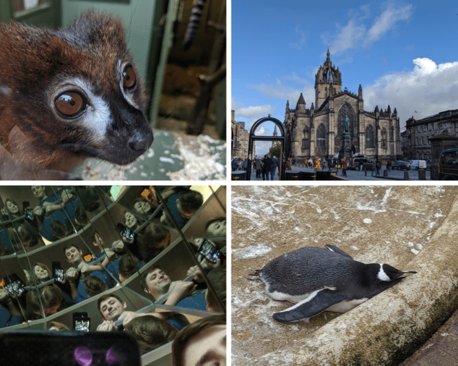 Untitled design (1).png