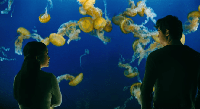 tumblr_2e92a11e62ce2a27360ac20f6edd4777_390d0f23_1280